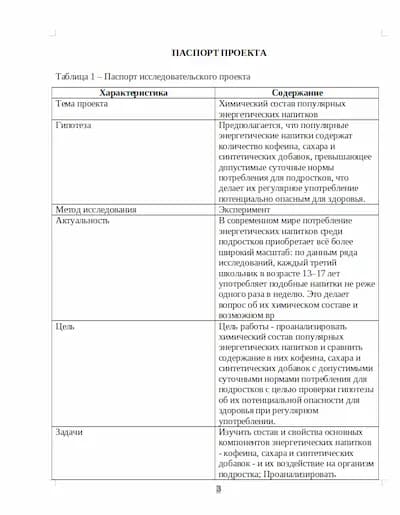 Паспорт проекта